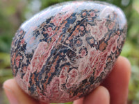 Polished Large Snakeskin Rhyolite Jasper Gemstone Eggs - Sold Per Item - From Australia