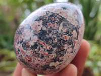 Polished Large Snakeskin Rhyolite Jasper Gemstone Eggs - Sold Per Item - From Australia