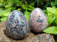 Polished Large Snakeskin Rhyolite Jasper Gemstone Eggs - Sold Per Item - From Australia