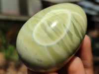 Polished African Banded Butter Jade Eggs - Sold Per Item - From Bronkhorstspruit, South Africa