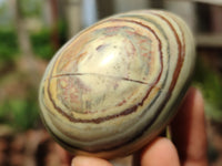 Polished African Banded Butter Jade Eggs - Sold Per Item - From Bronkhorstspruit, South Africa