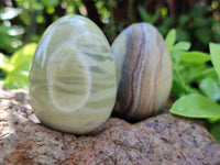 Polished African Banded Butter Jade Eggs - Sold Per Item - From Bronkhorstspruit, South Africa