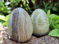 Polished African Banded Butter Jade Eggs - Sold Per Item - From Bronkhorstspruit, South Africa