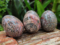 Polished Snakeskin Rhyolite Jasper Gemstone Eggs - Sold Per Item - From Australia