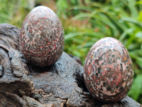 Polished Snakeskin Rhyolite Jasper Gemstone Eggs - Sold Per Item - From Australia