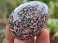 Polished Snakeskin Rhyolite Jasper Gemstone Eggs - Sold Per Item - From Australia