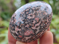 Polished Snakeskin Rhyolite Jasper Gemstone Eggs - Sold Per Item - From Australia