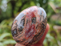 Polished Snakeskin Rhyolite Jasper Gemstone Eggs - Sold Per Item - From Australia