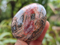 Polished Snakeskin Rhyolite Jasper Gemstone Eggs - Sold Per Item - From Australia