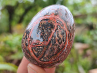 Polished Snakeskin Rhyolite Jasper Gemstone Eggs - Sold Per Item - From Australia