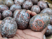 Polished Snakeskin Rhyolite Jasper Gemstone Eggs - Sold Per Item - From Australia