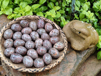 Polished Snakeskin Rhyolite Jasper Gemstone Eggs - Sold Per Item - From Australia