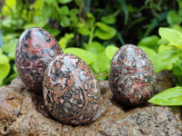 Polished Snakeskin Rhyolite Jasper Gemstone Eggs - Sold Per Item - From Australia