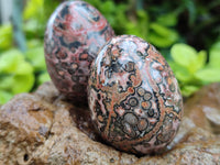 Polished Snakeskin Rhyolite Jasper Gemstone Eggs - Sold Per Item - From Australia