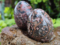 Polished Snakeskin Rhyolite Jasper Gemstone Eggs - Sold Per Item - From Australia