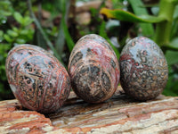 Polished Snakeskin Rhyolite Jasper Gemstone Eggs - Sold Per Item - From Australia