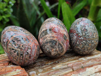 Polished Snakeskin Rhyolite Jasper Gemstone Eggs - Sold Per Item - From Australia