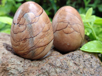 Polished Large Namibian Desert Picture Stone Jasper Eggs - Sold Per Item - From Ais-Ais Namibia