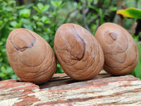 Polished Large Namibian Desert Picture Stone Jasper Eggs - Sold Per Item - From Ais-Ais Namibia