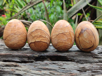 Polished Large Namibian Desert Picture Stone Jasper Eggs - Sold Per Item - From Ais-Ais Namibia