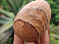 Polished Large Namibian Desert Picture Stone Jasper Eggs - Sold Per Item - From Ais-Ais Namibia