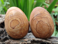 Polished Large Namibian Desert Picture Stone Jasper Eggs - Sold Per Item - From Ais-Ais Namibia