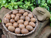 Polished Large Namibian Desert Picture Stone Jasper Eggs - Sold Per Item - From Ais-Ais Namibia