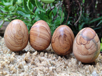 Polished Large Namibian Desert Picture Stone Jasper Eggs - Sold Per Item - From Ais-Ais Namibia