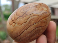 Polished Large Namibian Desert Picture Stone Jasper Eggs - Sold Per Item - From Ais-Ais Namibia