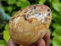 Polished Fancy Lace Agate Gemstone Eggs - Sold Per Item - From India