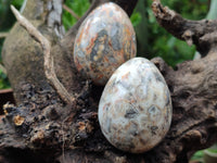 Polished Fancy Lace Agate Gemstone Eggs - Sold Per Item - From India