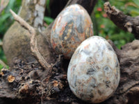 Polished Fancy Lace Agate Gemstone Eggs - Sold Per Item - From India