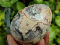 Polished Fancy Lace Agate Gemstone Eggs - Sold Per Item - From India