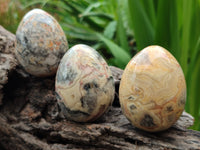 Polished Fancy Lace Agate Gemstone Eggs - Sold Per Item - From India