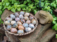 Polished Fancy Lace Agate Gemstone Eggs - Sold Per Item - From India