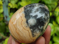 Polished Fancy Lace Agate Gemstone Eggs - Sold Per Item - From India