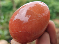 Polished Orange Quartz Gemstone Eggs - Sold Per Item - From Zimbabwe