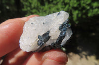 Natural Black Tourmaline & Quartz Specimens x 1.8 Kg Lot From Namibia