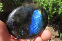 Polished Labradorite Palm Stones x 8 From Tulear, Madagascar