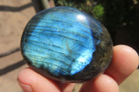 Polished Labradorite Palm Stones x 8 From Tulear, Madagascar