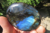 Polished Labradorite Palm Stones x 8 From Tulear, Madagascar