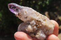 Natural Amethyst Quartz Crystals x 20 From Chiredzi, Zimbabwe