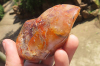 Polished Carnelian Flame Sculptures x 12 From Madagascar