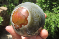 Polished Polychrome Jasper Spheres x 4 From Madagascar