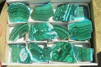 Polished Flower Banded Malacolla Slices x 12 From Kolwezi, Congo