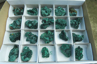 Natural Silky Malachite Specimens x 20 From Kasompe, Congo