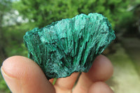 Natural Silky Malachite Specimens x 20 From Kasompe, Congo