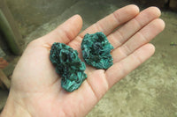 Natural Silky Malachite Specimens x 20 From Kasompe, Congo