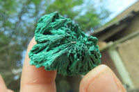 Natural Silky Malachite Specimens x 20 From Kasompe, Congo