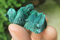 Natural Silky Malachite Specimens x 20 From Kasompe, Congo